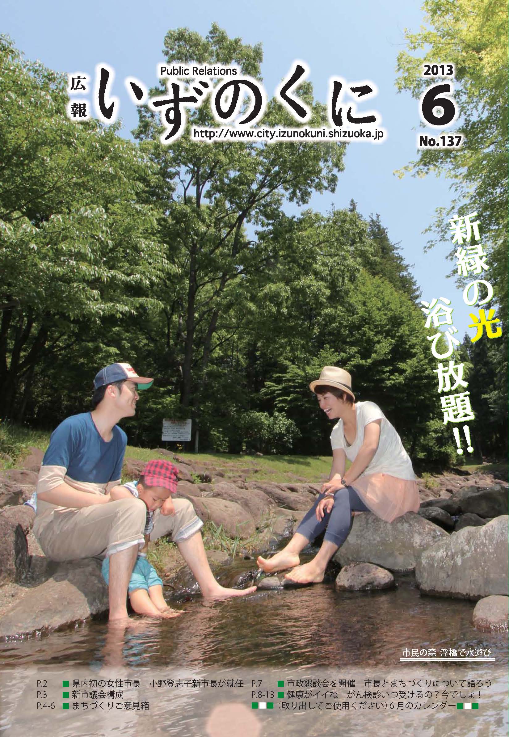 平成25年6月号