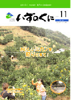 広報いずのくに11月1日号