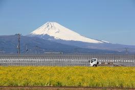 フォトニュース用