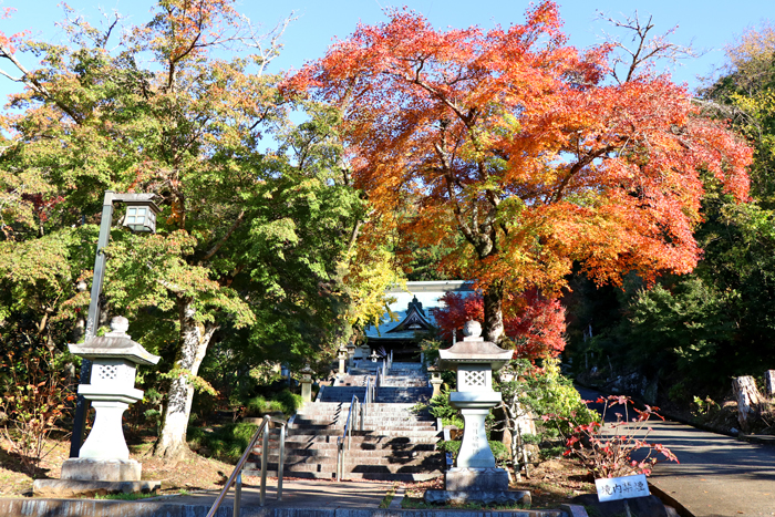 本立寺紅葉