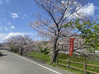 いちご 狩り センター 江間 江間いちご狩りセンター［伊豆の国市］｜アットエス