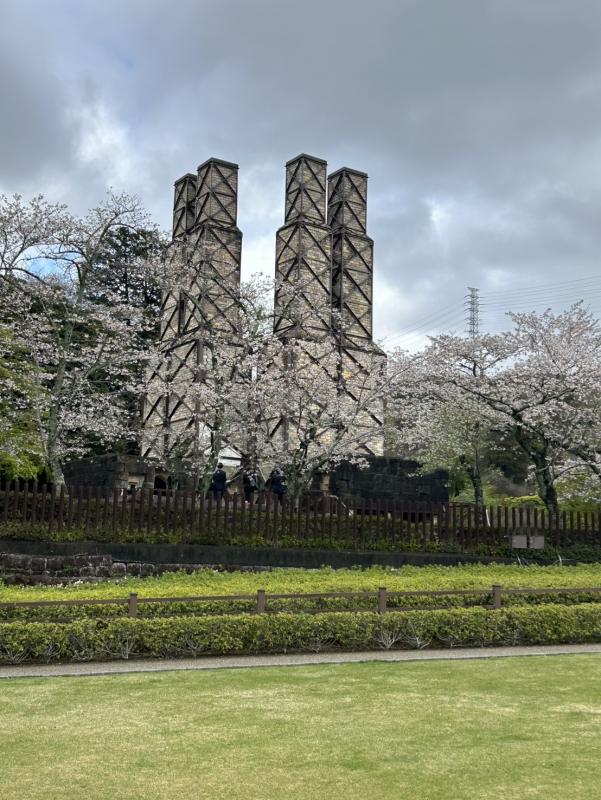 韮山反射炉のソメイヨシノ（令和8年4月2日）