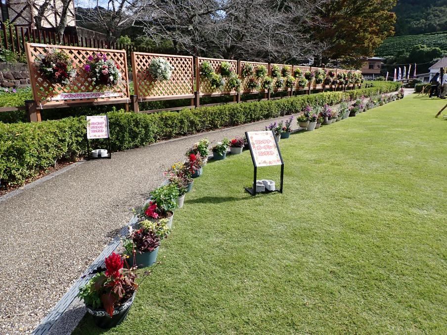 ハンギングコンテナ