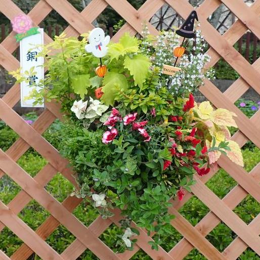 ハンギング初銅