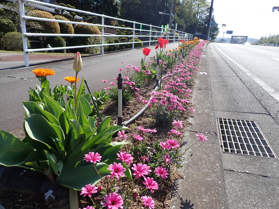 大門橋西花壇1