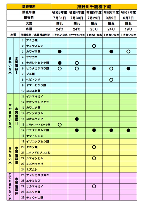 狩野川千歳橋下流の観察結果(R3~7)