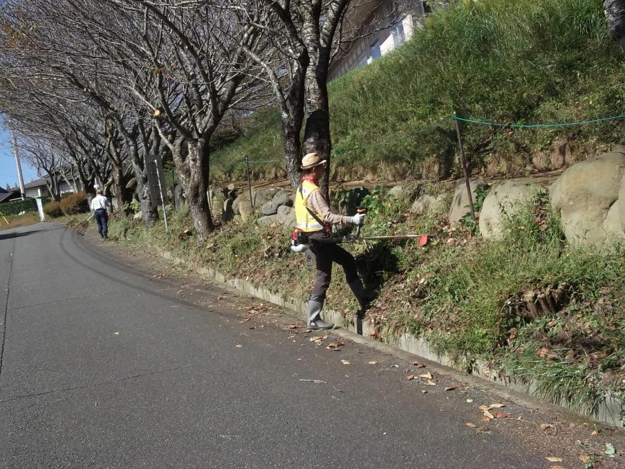 作業の写真1