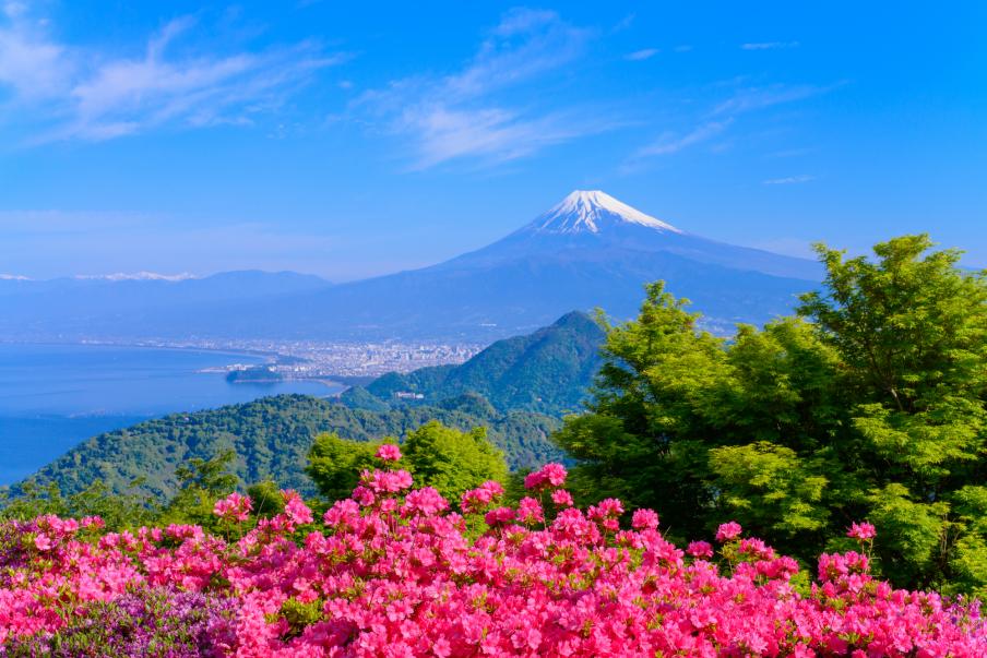 富士山