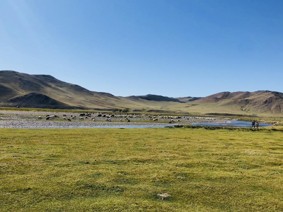 モンゴル草原写真