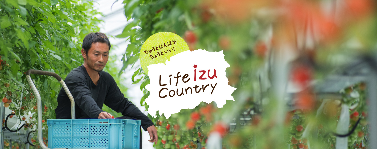 ちゅうとはんぱがちょうどいい！Life izu Country