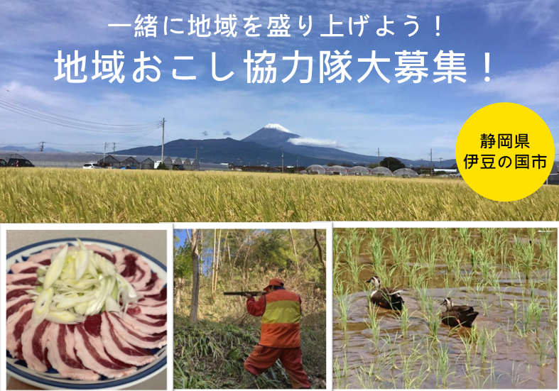 チラシ