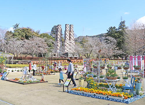 2023花咲く1