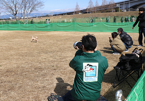 2402お花見わんこマルシェ3