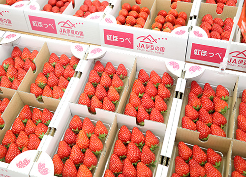 いちご品評3
