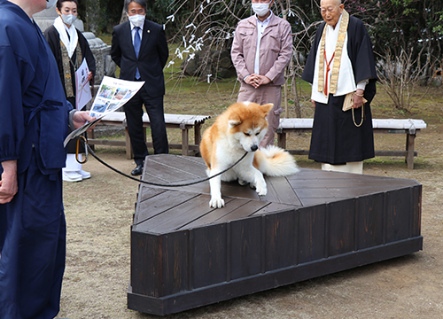 おもてなしベンチ3