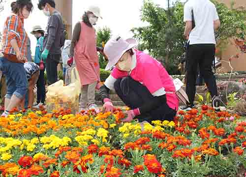 おもてなし花壇1