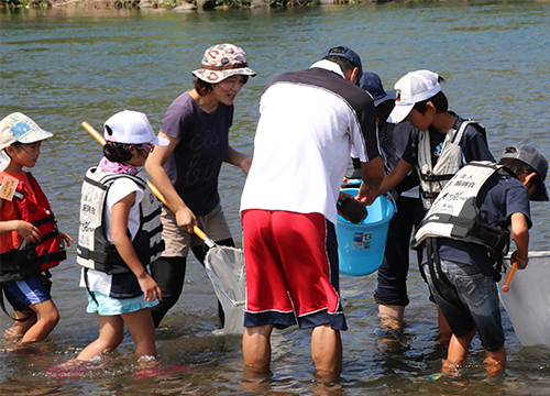7月30日狩野川水生生物観察会を開催2