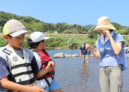 7月30日狩野川水生生物観察会を開催3