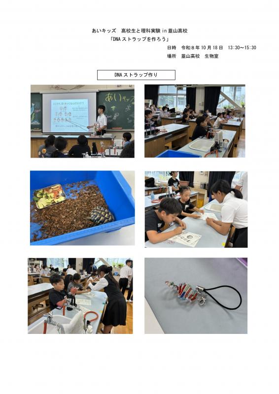 1生物20261018