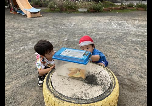 ひまわり保育園大仁分園9月の様子