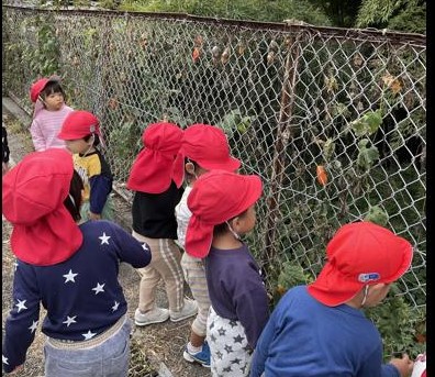 ひまわり保育園大仁分園10月の様子