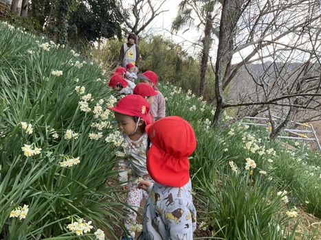 ひまわり保育園大仁分園1月の様子