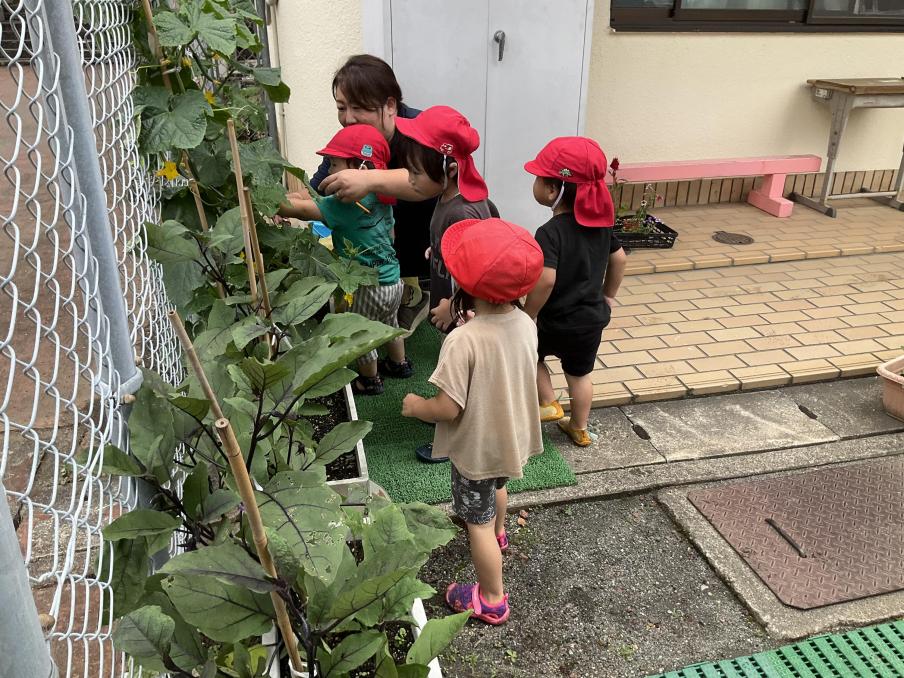 ひまわり保育園大仁分園6月の様子