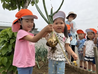 202505ayumi